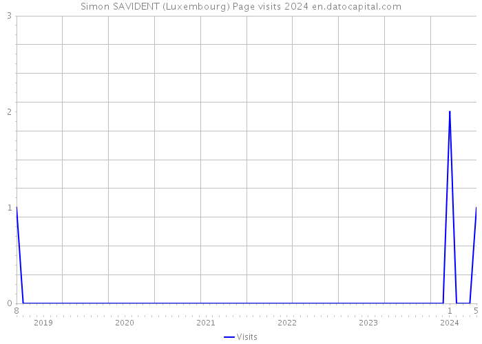Simon SAVIDENT (Luxembourg) Page visits 2024 