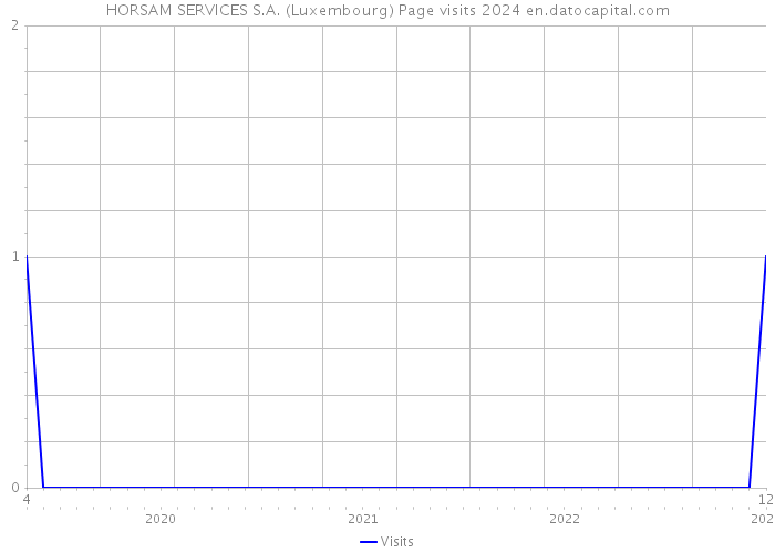 HORSAM SERVICES S.A. (Luxembourg) Page visits 2024 