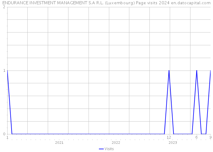 ENDURANCE INVESTMENT MANAGEMENT S.A R.L. (Luxembourg) Page visits 2024 