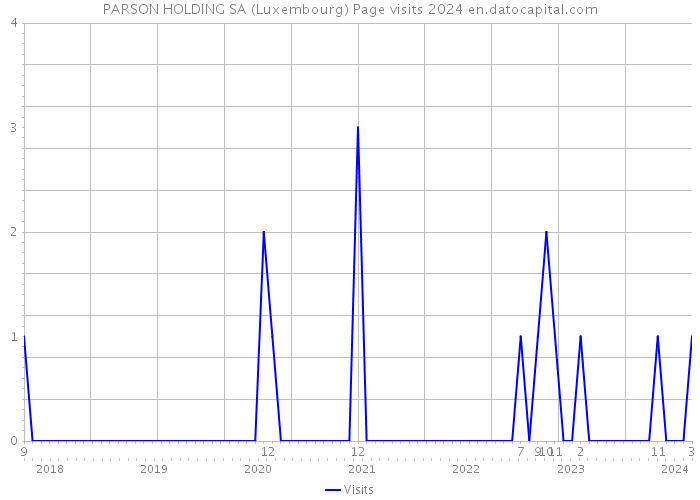PARSON HOLDING SA (Luxembourg) Page visits 2024 
