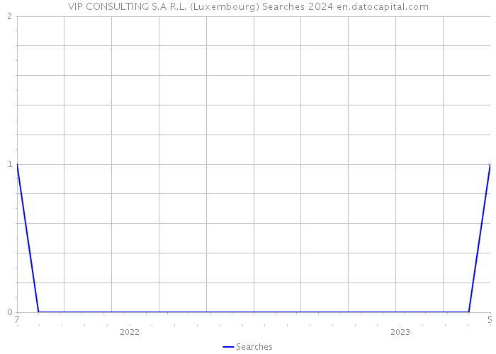VIP CONSULTING S.A R.L. (Luxembourg) Searches 2024 