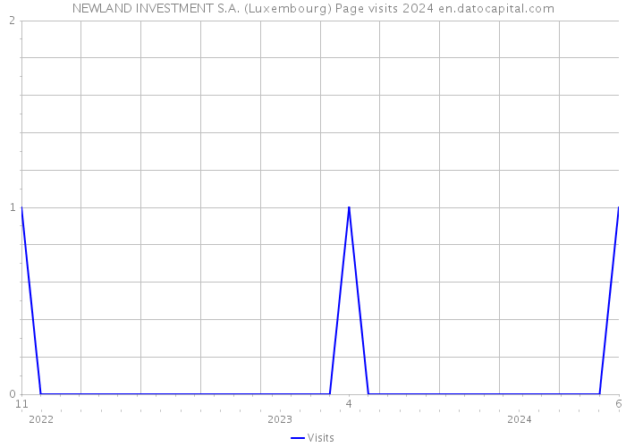 NEWLAND INVESTMENT S.A. (Luxembourg) Page visits 2024 