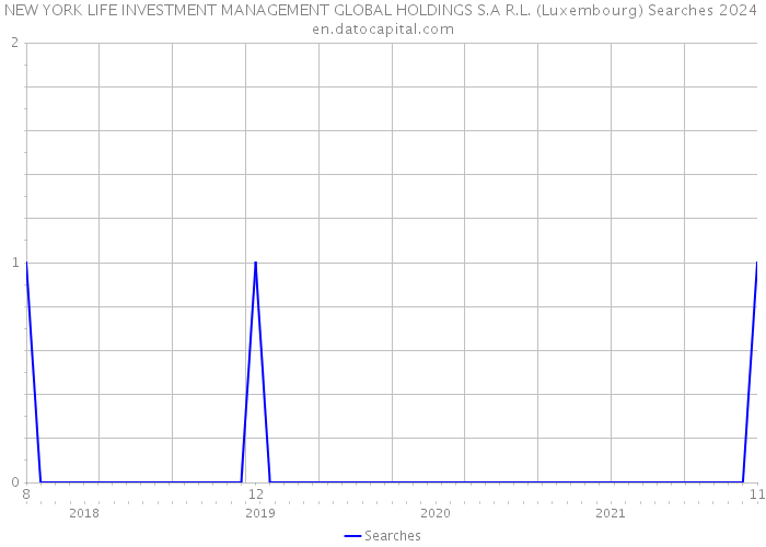NEW YORK LIFE INVESTMENT MANAGEMENT GLOBAL HOLDINGS S.A R.L. (Luxembourg) Searches 2024 