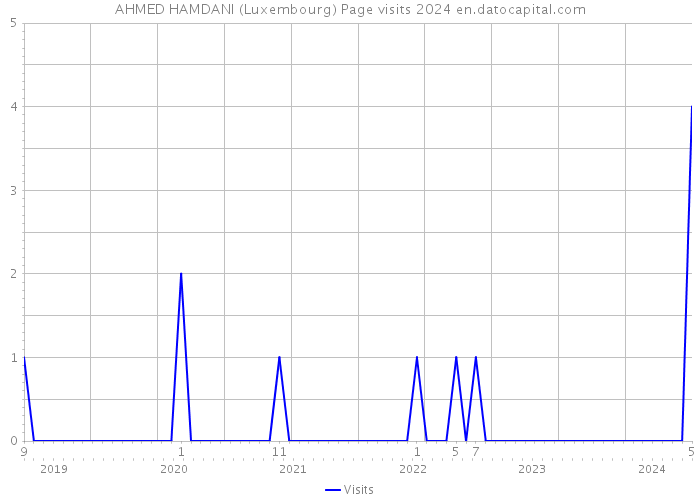 AHMED HAMDANI (Luxembourg) Page visits 2024 