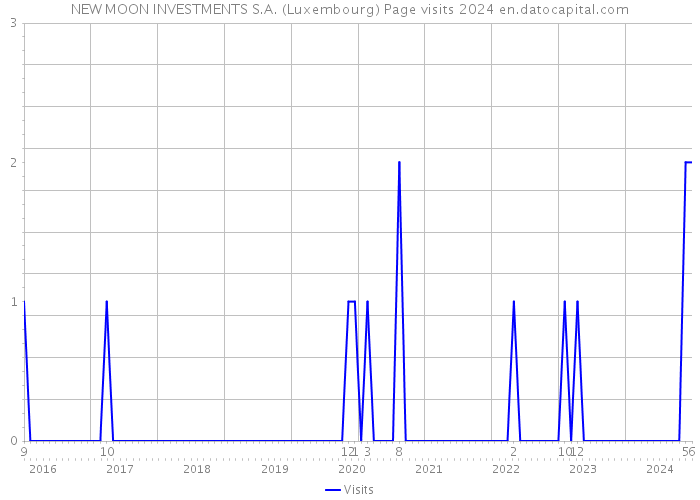 NEW MOON INVESTMENTS S.A. (Luxembourg) Page visits 2024 