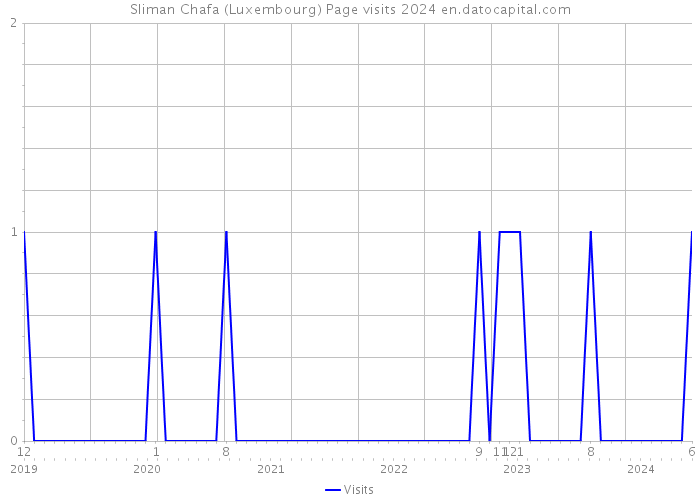 Sliman Chafa (Luxembourg) Page visits 2024 