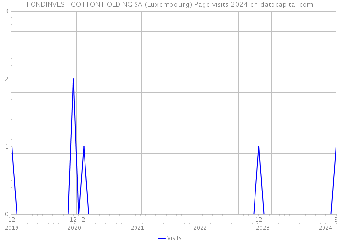 FONDINVEST COTTON HOLDING SA (Luxembourg) Page visits 2024 