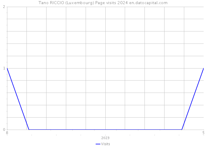 Tano RICCIO (Luxembourg) Page visits 2024 