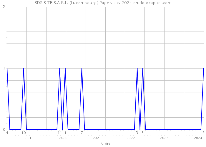 BDS 3 TE S.A R.L. (Luxembourg) Page visits 2024 
