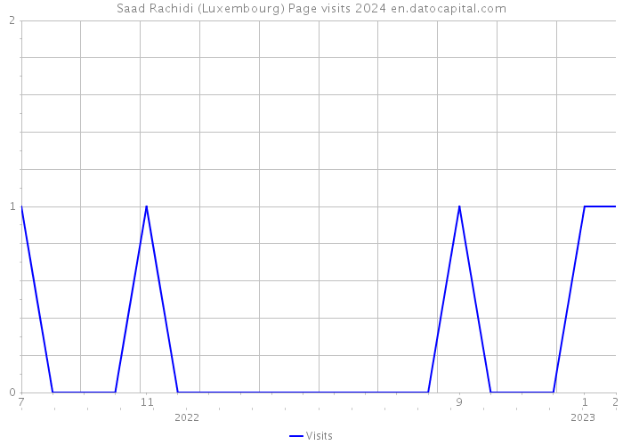 Saad Rachidi (Luxembourg) Page visits 2024 