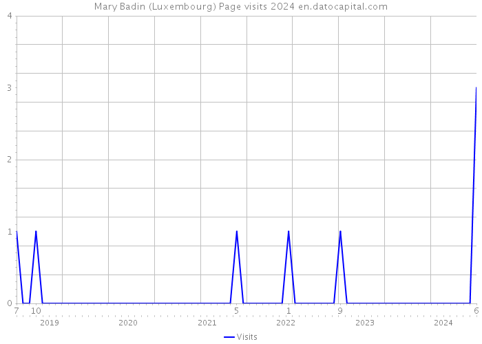Mary Badin (Luxembourg) Page visits 2024 