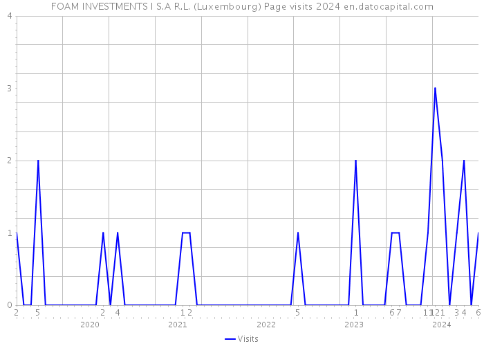 FOAM INVESTMENTS I S.A R.L. (Luxembourg) Page visits 2024 