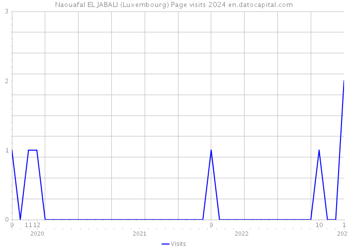 Naouafal EL JABALI (Luxembourg) Page visits 2024 