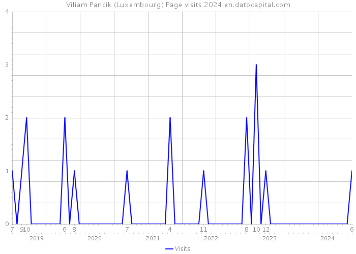 Viliam Pancik (Luxembourg) Page visits 2024 