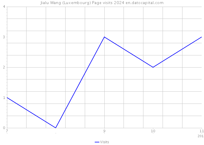 Jialu Wang (Luxembourg) Page visits 2024 