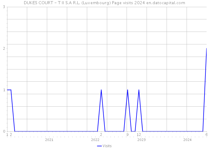 DUKES COURT - T II S.A R.L. (Luxembourg) Page visits 2024 