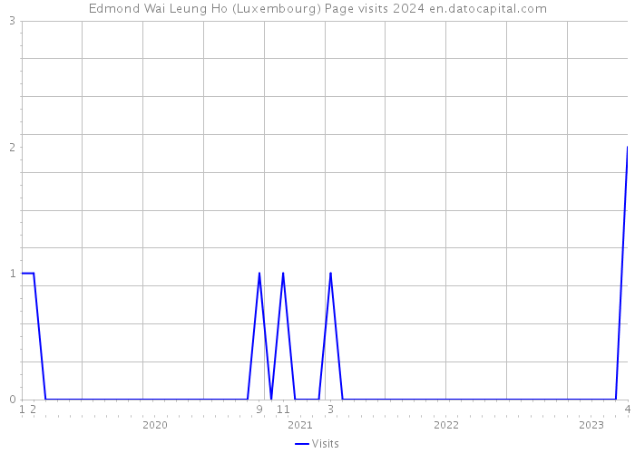 Edmond Wai Leung Ho (Luxembourg) Page visits 2024 