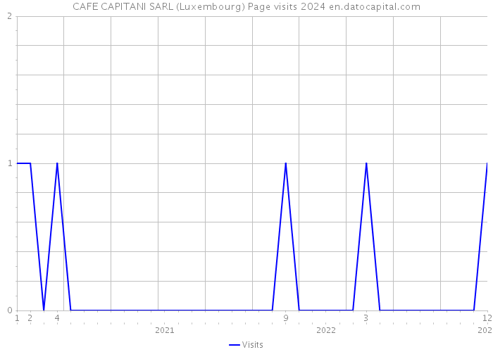 CAFE CAPITANI SARL (Luxembourg) Page visits 2024 