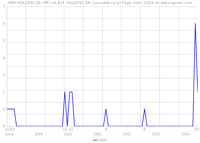 AEH HOLDING SA<BR>(A.E.H. HOLDING SA) (Luxembourg) Page visits 2024 