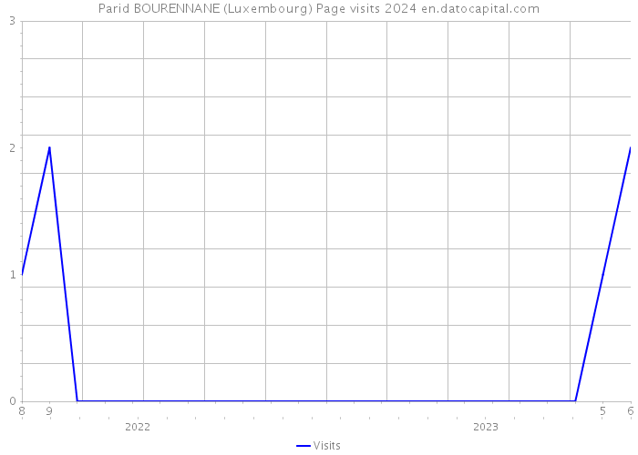 Parid BOURENNANE (Luxembourg) Page visits 2024 