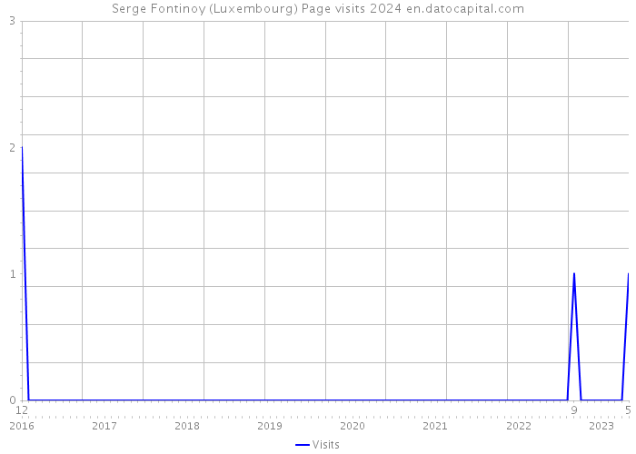 Serge Fontinoy (Luxembourg) Page visits 2024 