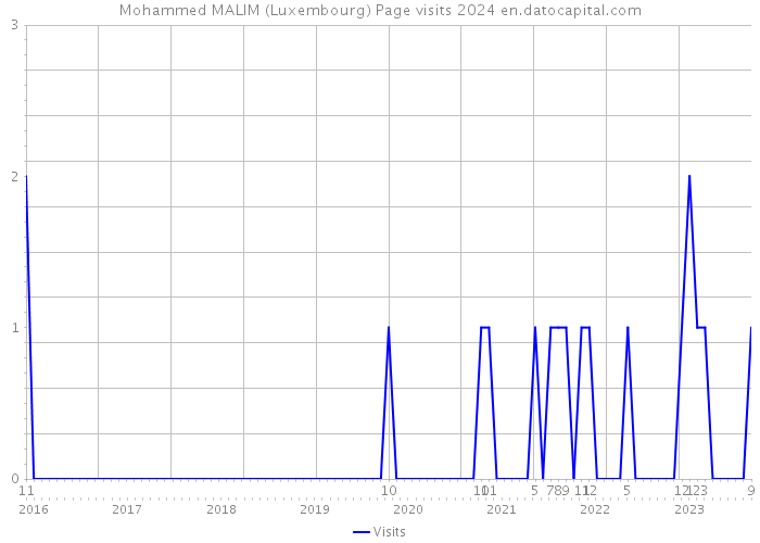 Mohammed MALIM (Luxembourg) Page visits 2024 