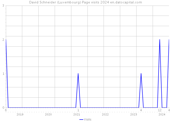 David Schneider (Luxembourg) Page visits 2024 