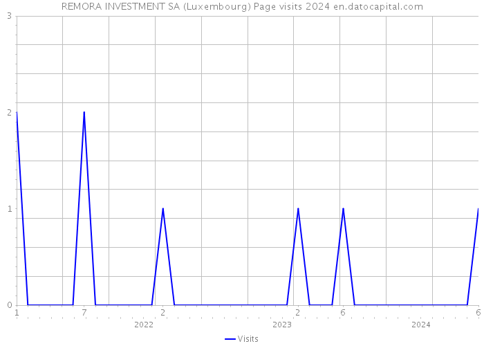 REMORA INVESTMENT SA (Luxembourg) Page visits 2024 