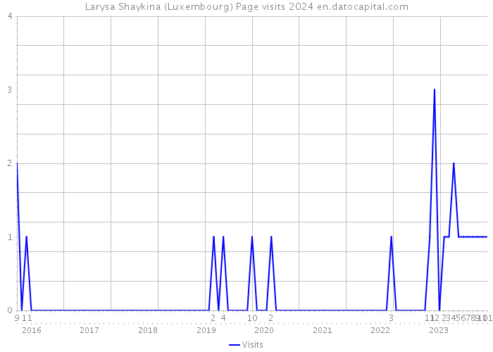 Larysa Shaykina (Luxembourg) Page visits 2024 