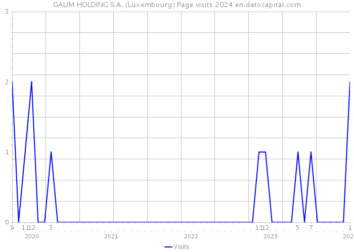 GALIM HOLDING S.A. (Luxembourg) Page visits 2024 