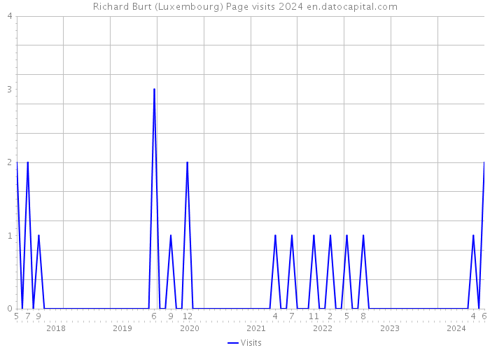 Richard Burt (Luxembourg) Page visits 2024 