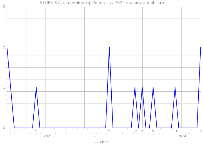 BILOBA S.A. (Luxembourg) Page visits 2024 