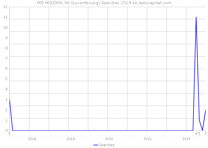 HSI HOLDING SA (Luxembourg) Searches 2024 