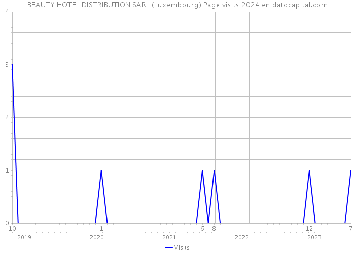 BEAUTY HOTEL DISTRIBUTION SARL (Luxembourg) Page visits 2024 