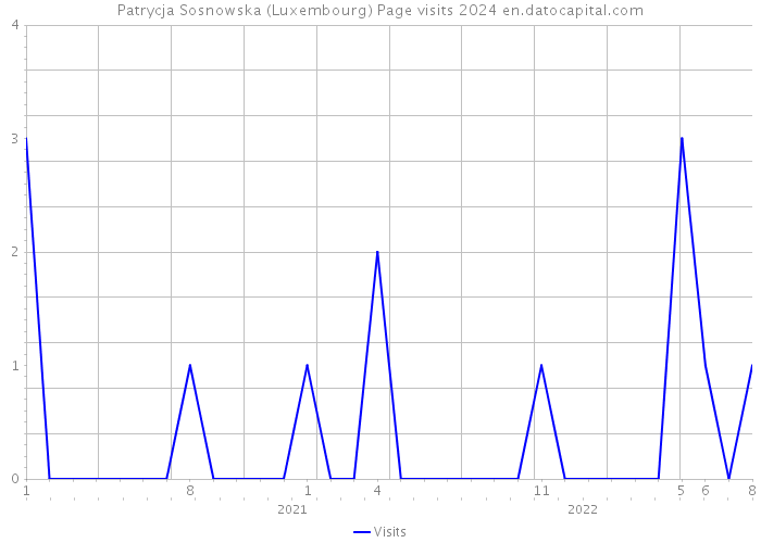 Patrycja Sosnowska (Luxembourg) Page visits 2024 