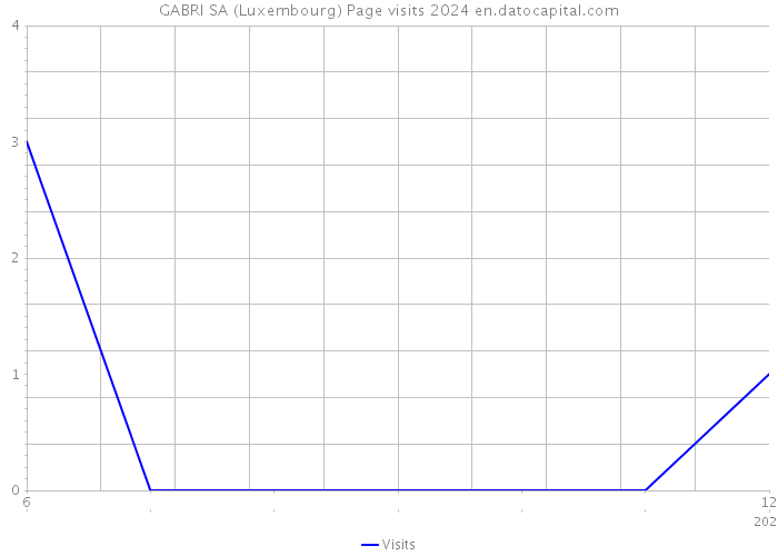 GABRI SA (Luxembourg) Page visits 2024 