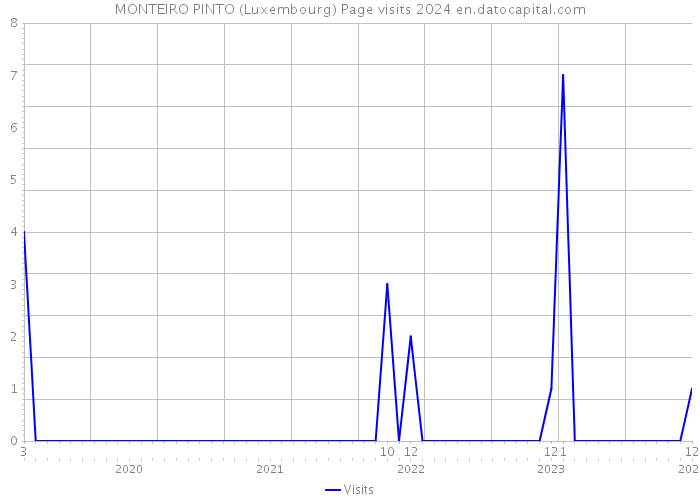MONTEIRO PINTO (Luxembourg) Page visits 2024 