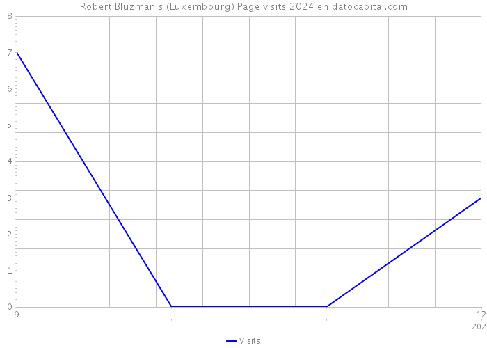 Robert Bluzmanis (Luxembourg) Page visits 2024 